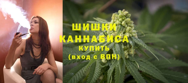 spice Гусиноозёрск