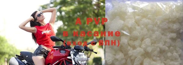 прущие грибы Горняк