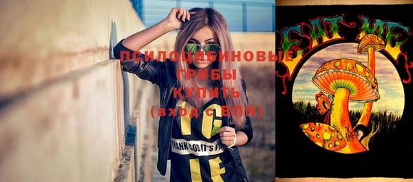 spice Гусиноозёрск