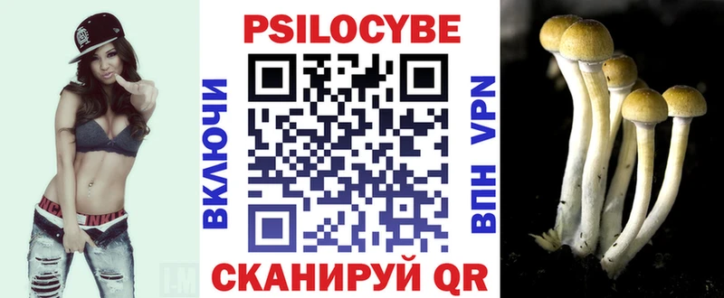 закладки  Дятьково  Псилоцибиновые грибы ЛСД 